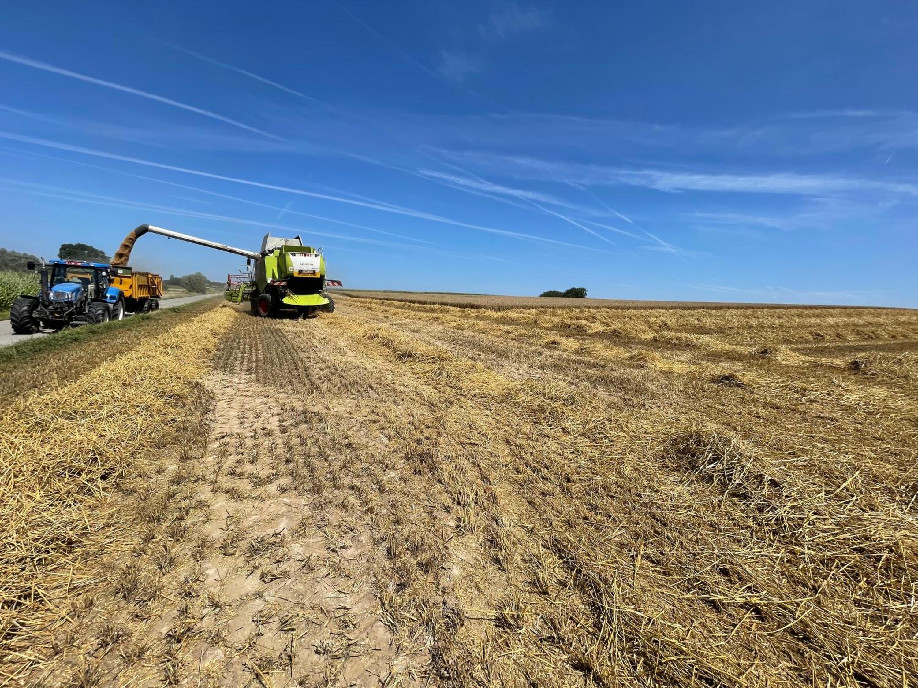 De Bronne