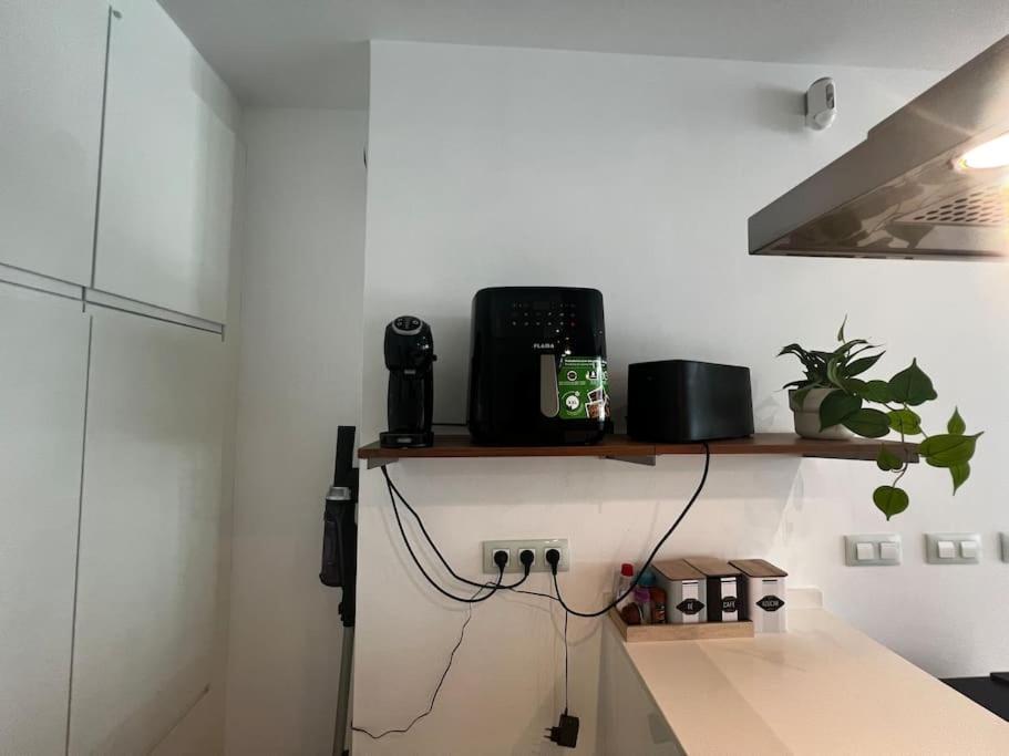 ground floor luxury apartment