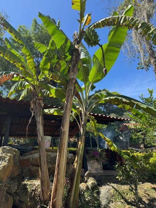 Finca Las Palmas San Gil