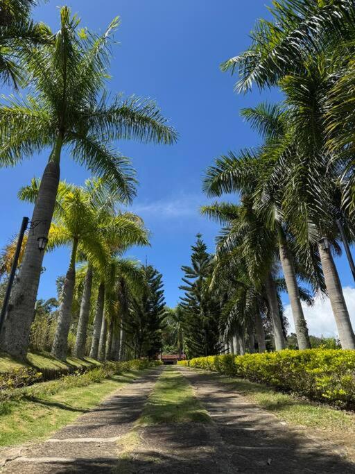 Finca Las Palmas San Gil