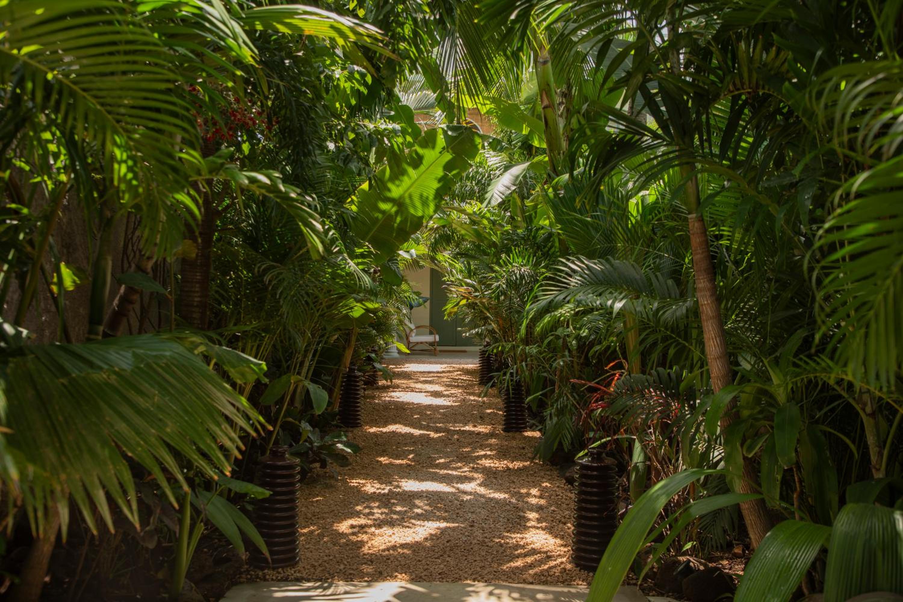 Maison Tropical