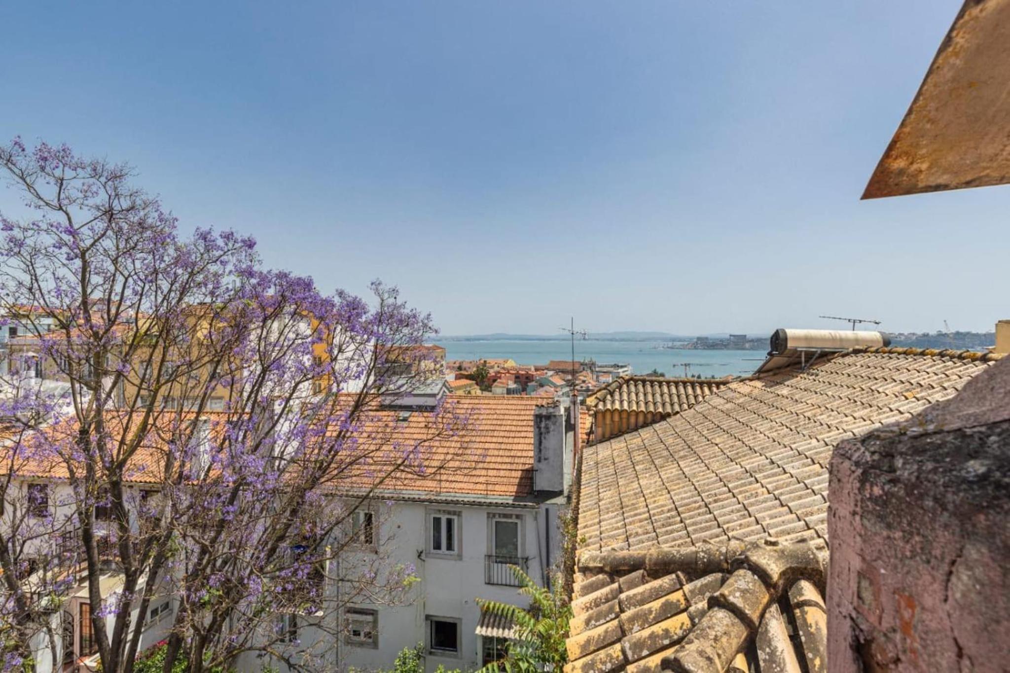 Joao da Mata Amazing views by Innkeeper
