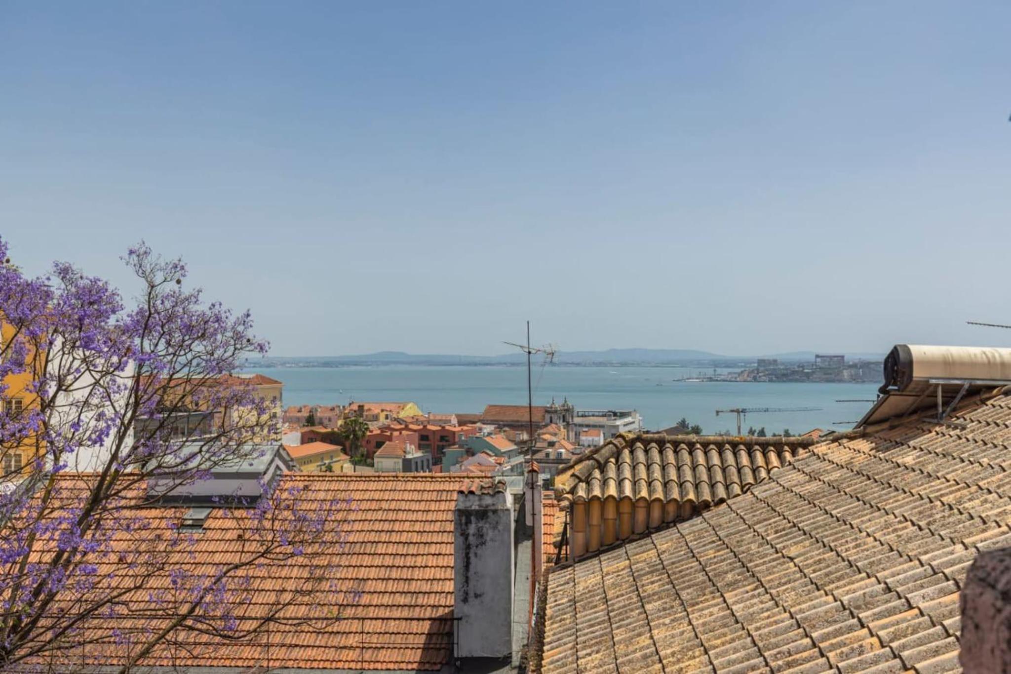 Joao da Mata Amazing views by Innkeeper