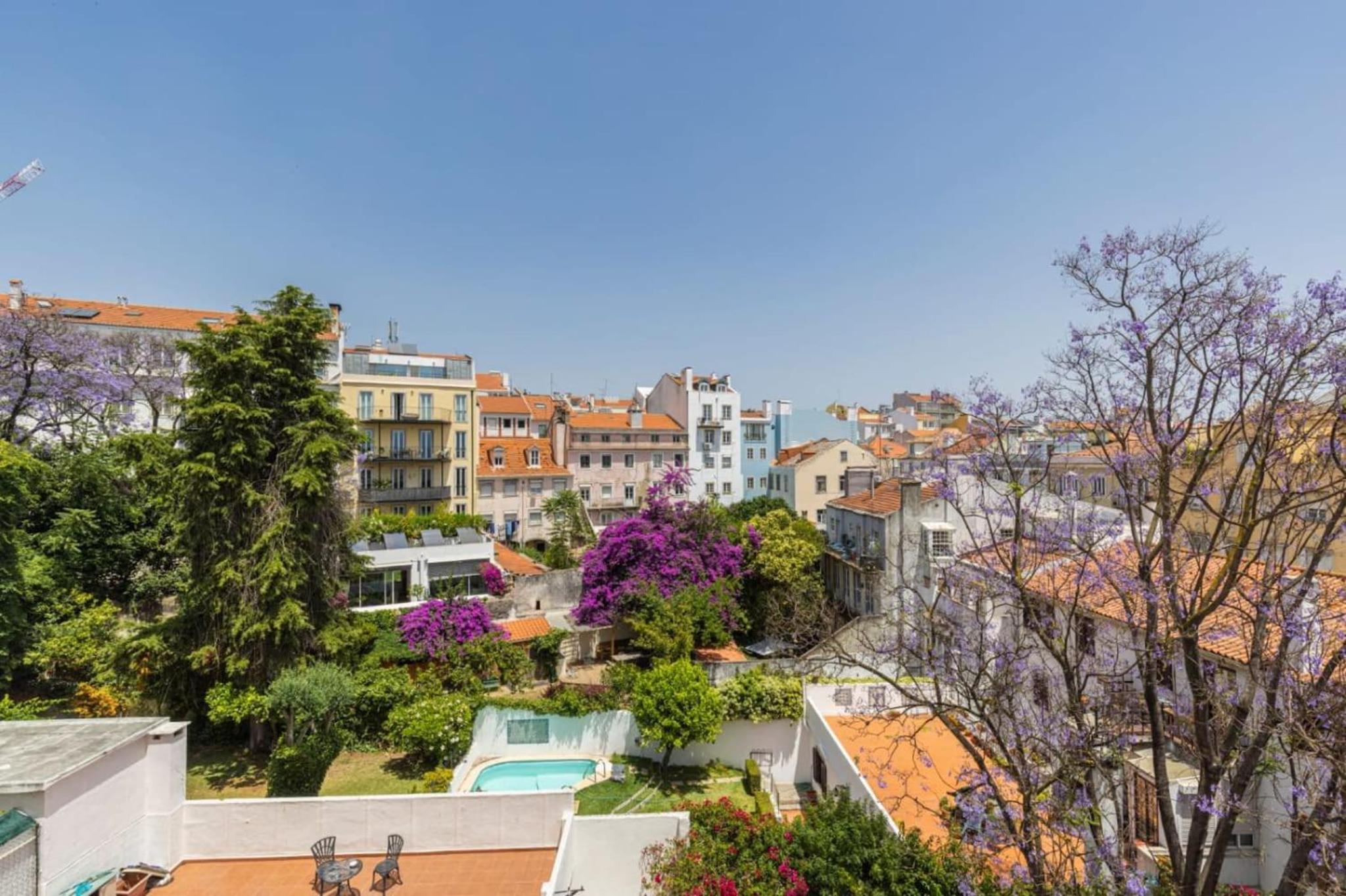 Joao da Mata Amazing views by Innkeeper