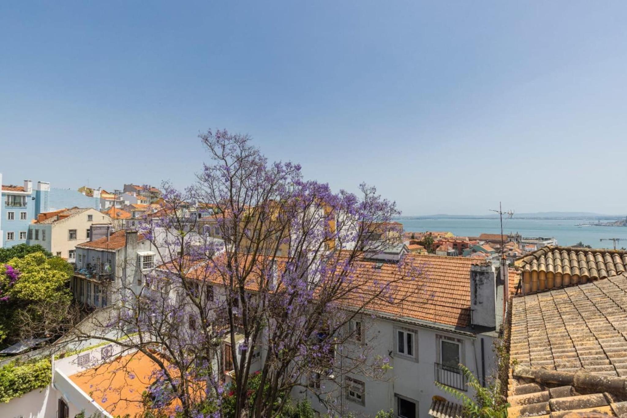 Joao da Mata Amazing views by Innkeeper