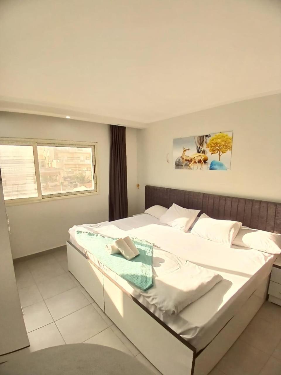 Hurghada Scandic studio