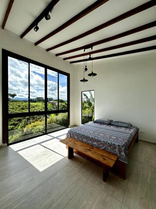 Casa Bosque de piedra