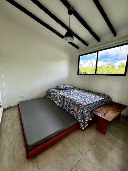 Casa Bosque de piedra