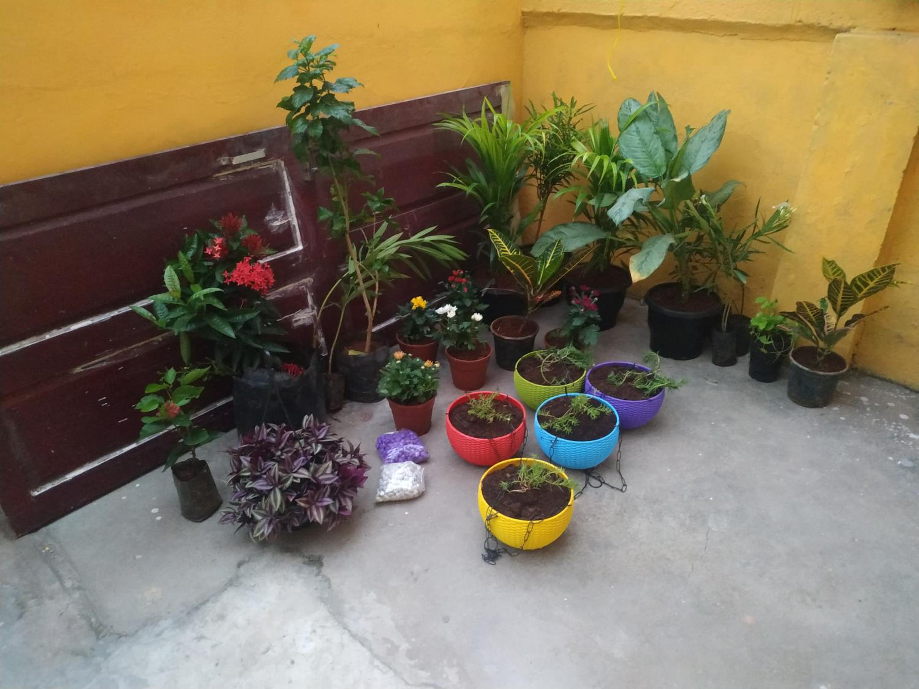 Mithu's Nest-Ur Holiday Abode view 3