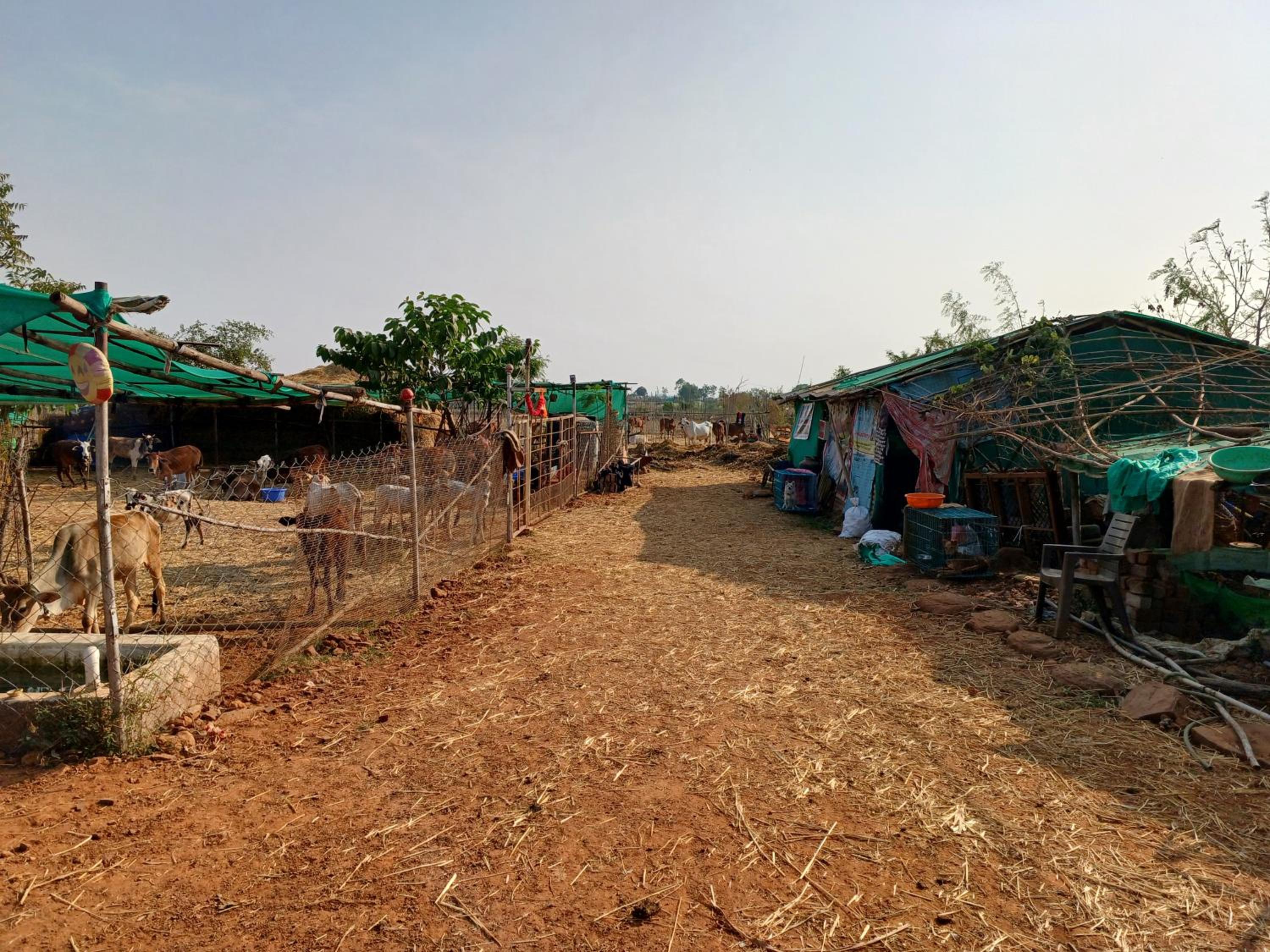 Gaushala and Cow Dung-Based Product Tourism view 4