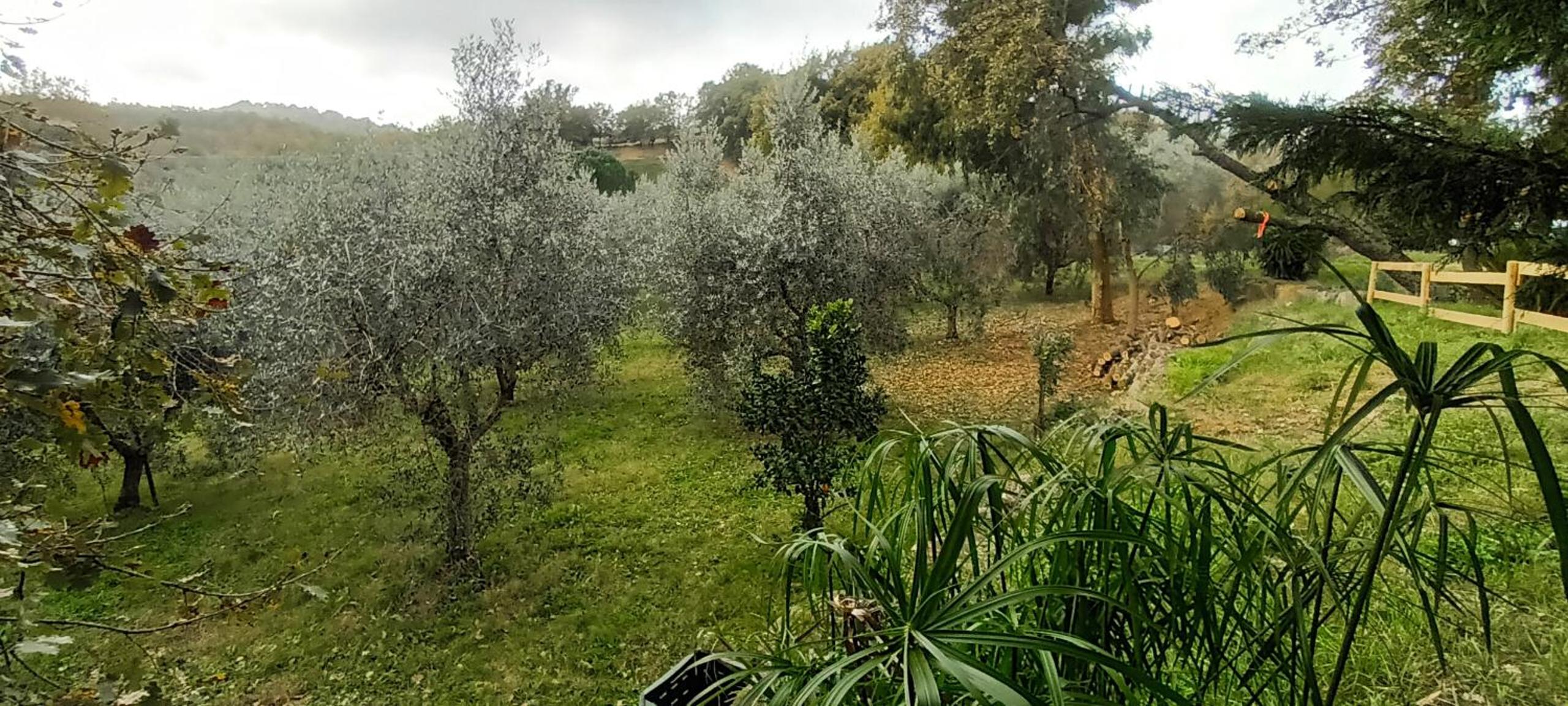 Photo 46