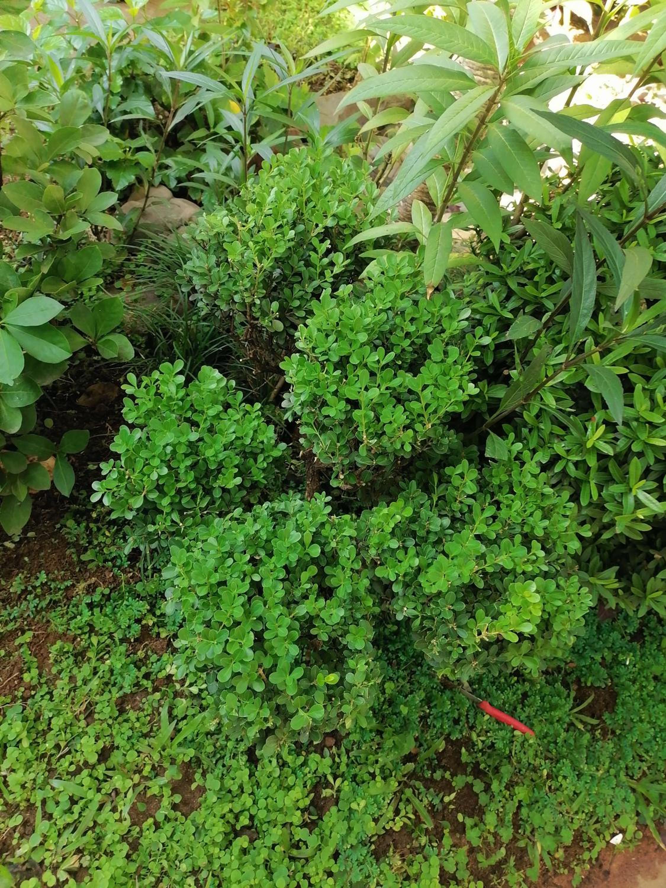 Photo 27