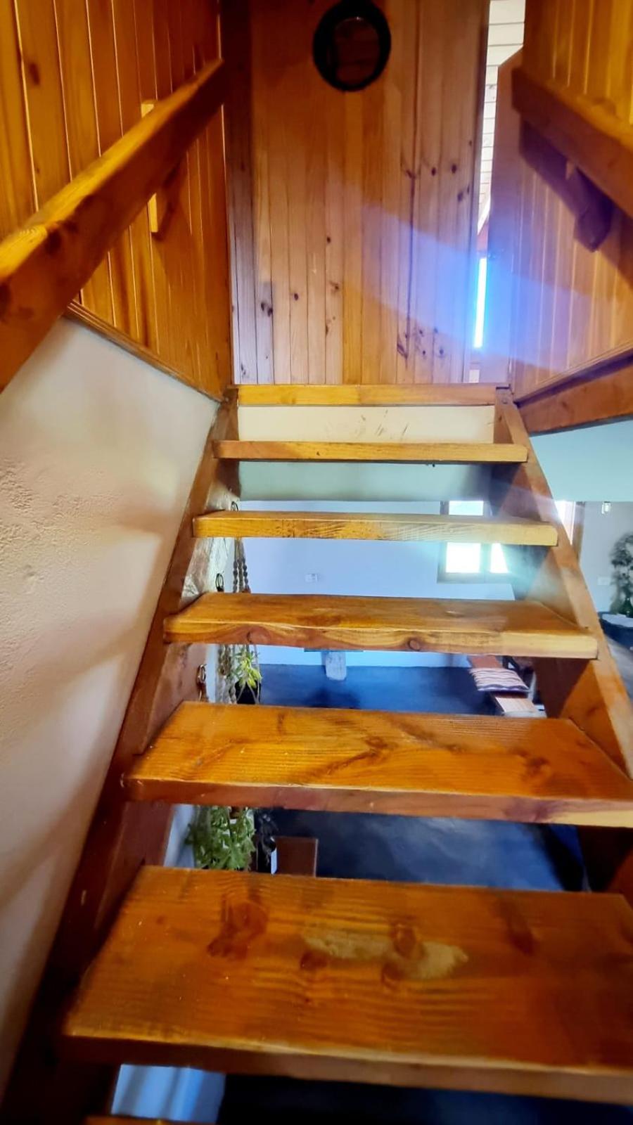 Shelter Patagonia
