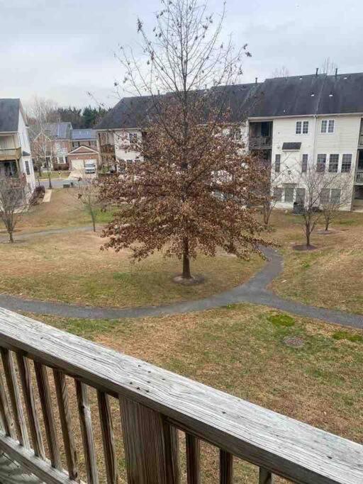 Sunny townhouse 3 bedroom walk to shops view 2
