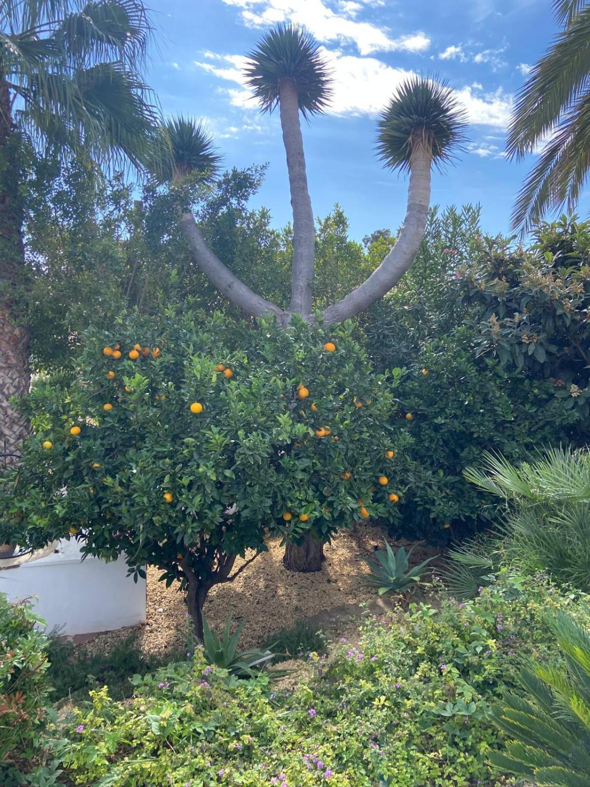Authentic Haciënda near the Sea