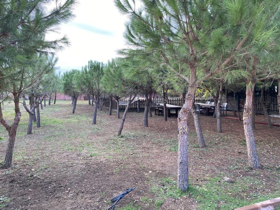 Bungalov Elbasan