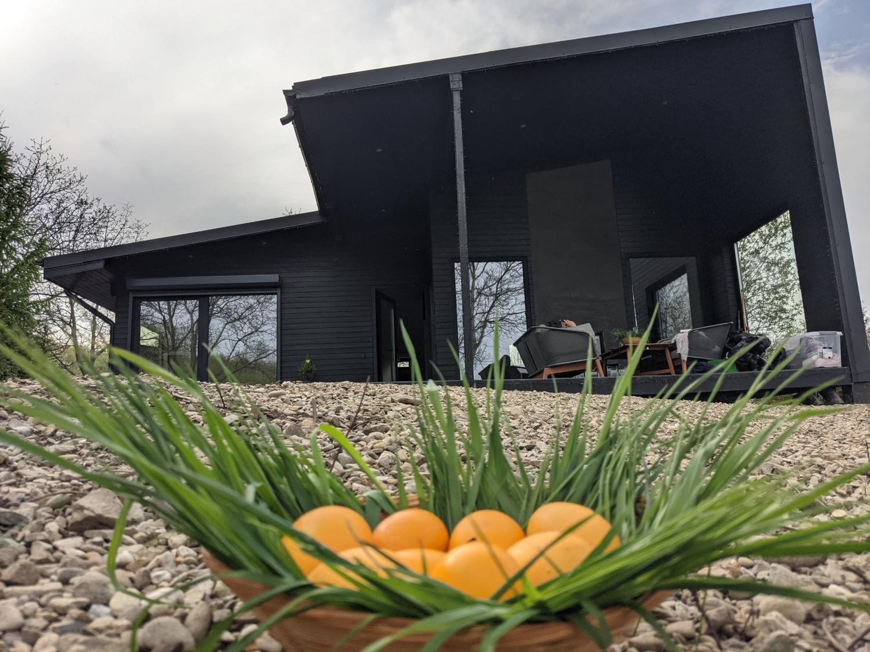 Black Walnut House with indoor outdoor fireplace view 2