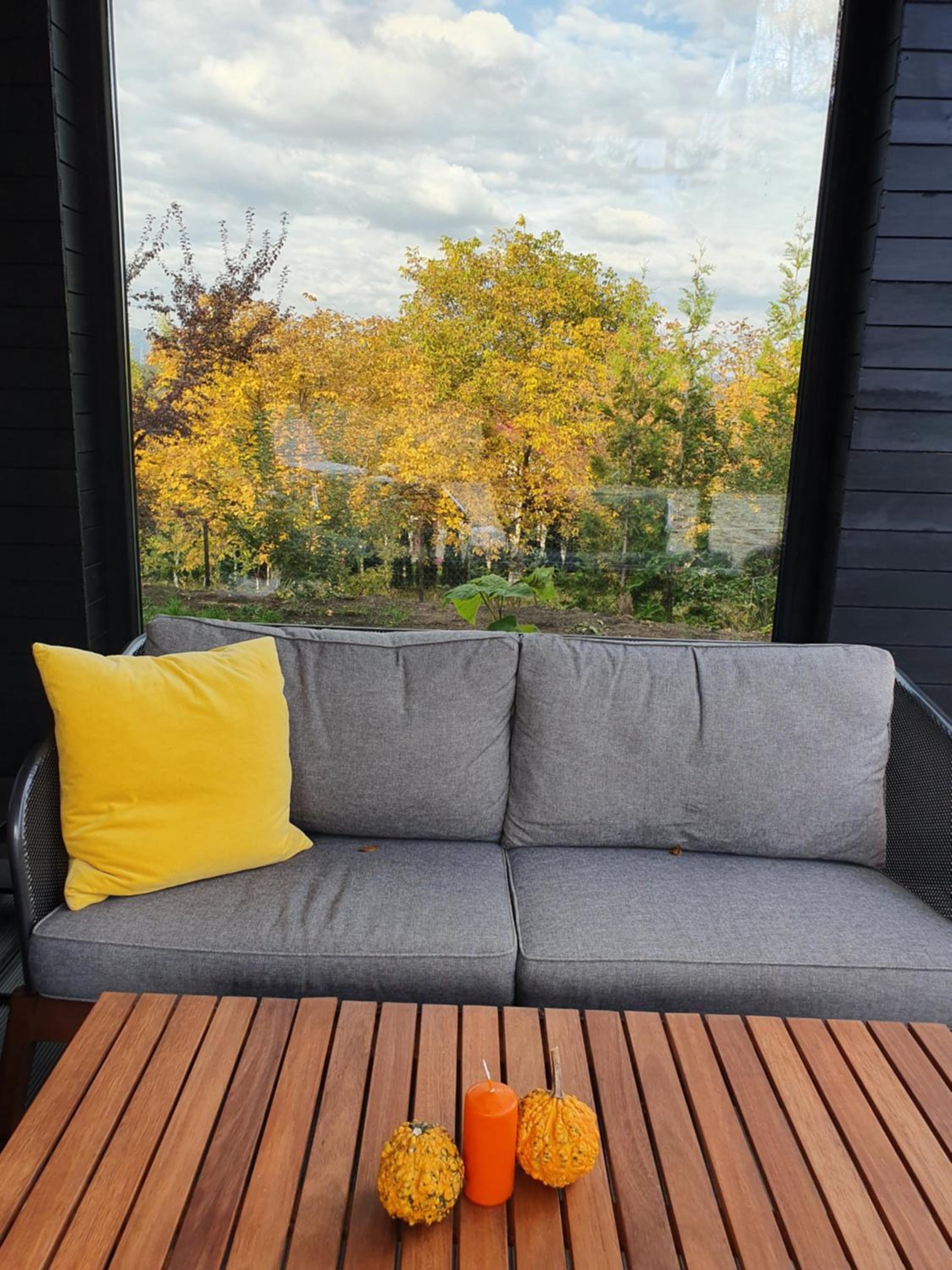 Black Walnut House with indoor outdoor fireplace view 3
