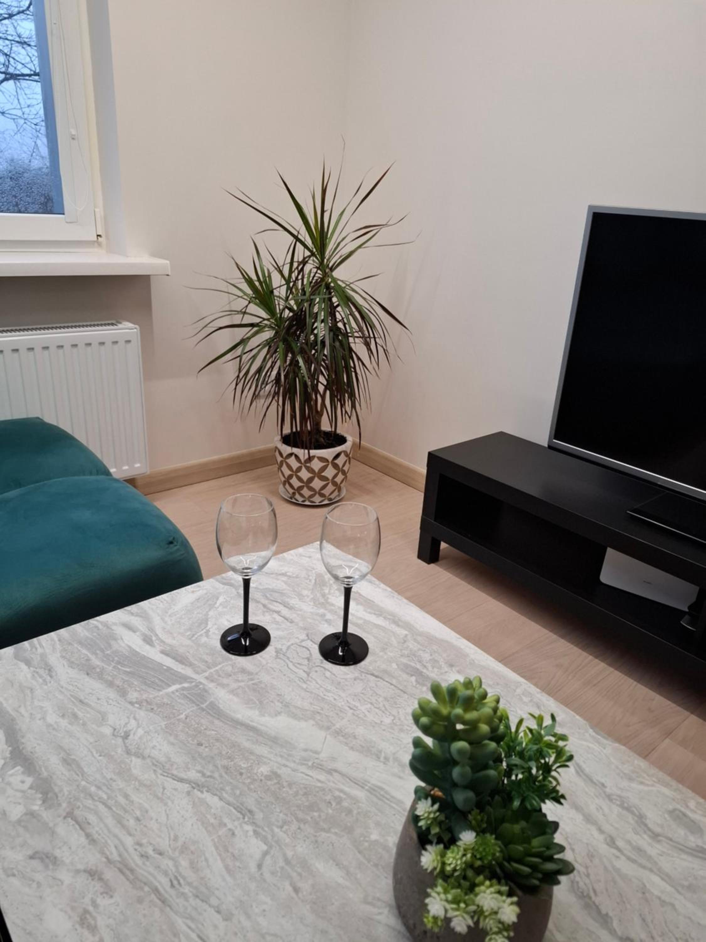 Žemaičių g apartamentai view 4