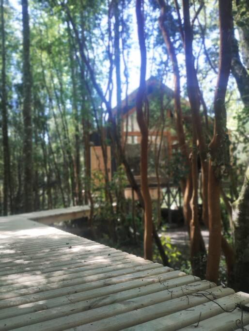 Cabaña en molco,entre Villarrica y Pucón