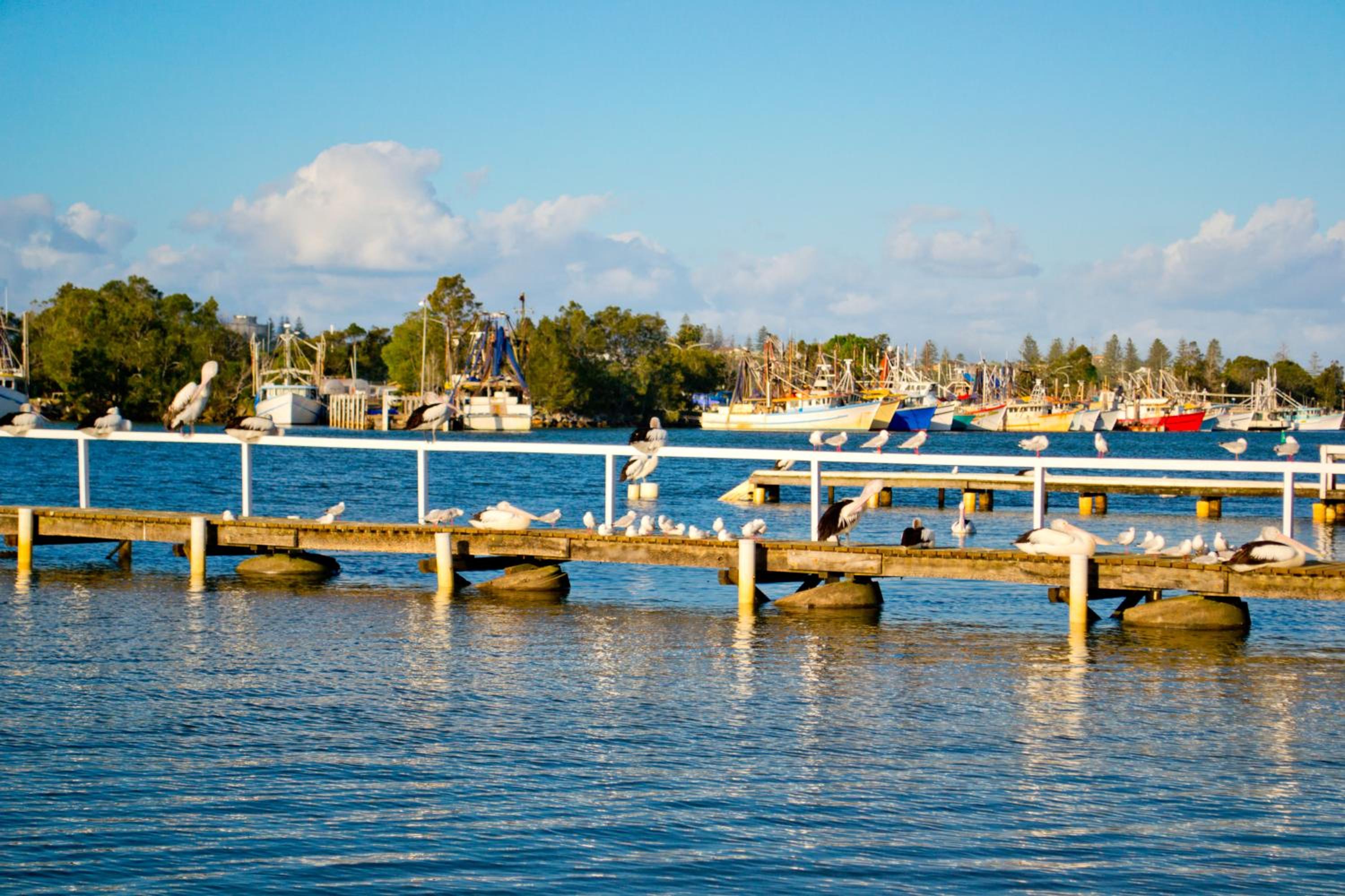 Moby Dick Waterfront Resort Motel