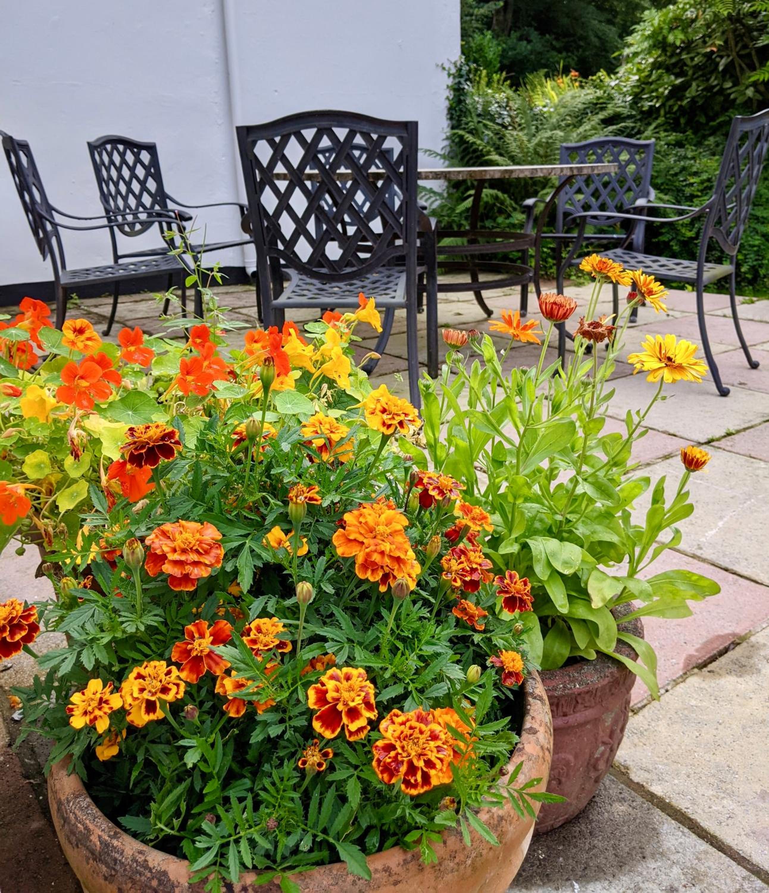 Lynton Vacations - Millslade Country House - Property Image 7