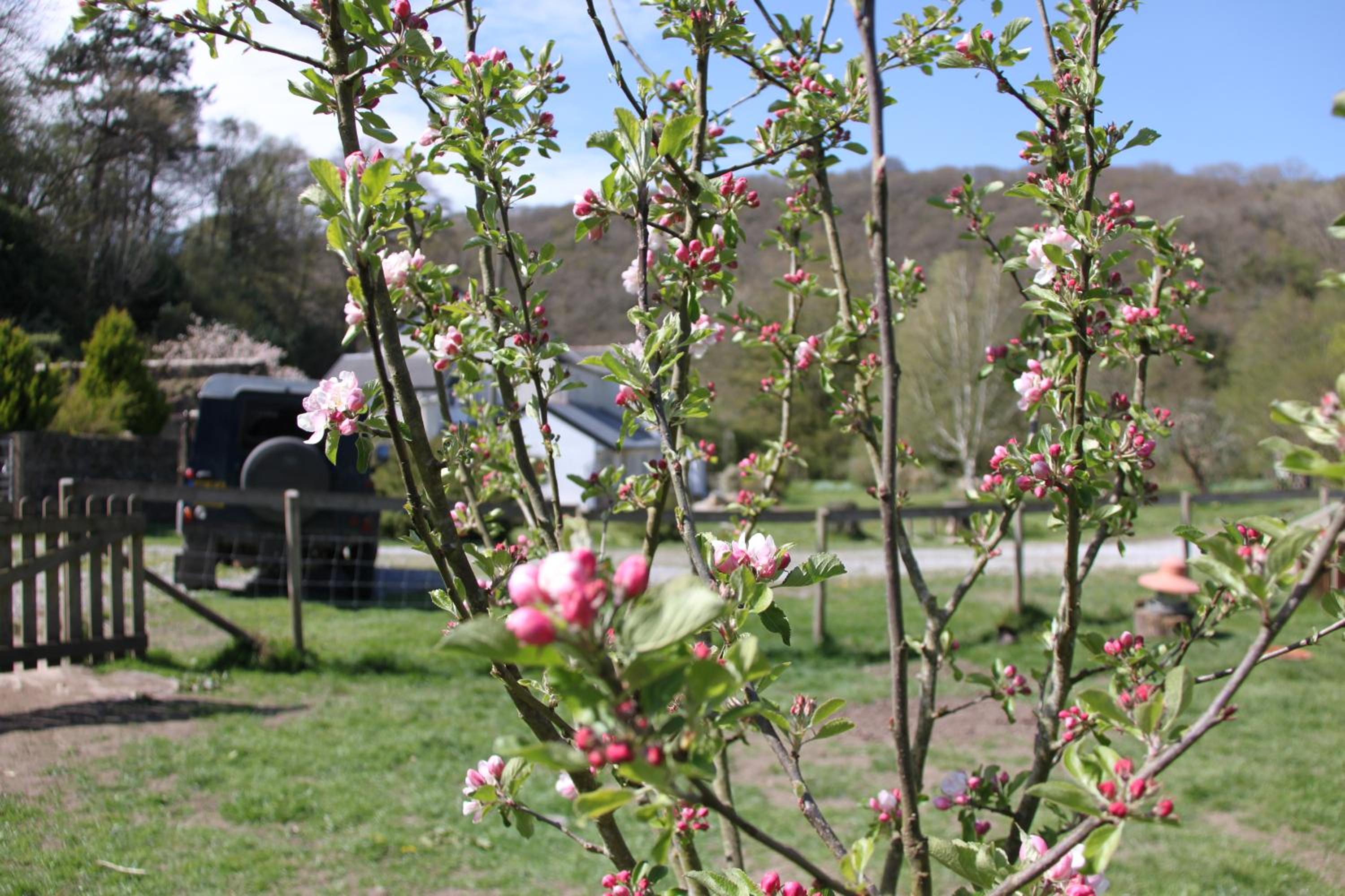 Lynton Vacations - Millslade Country House - Property Image 3