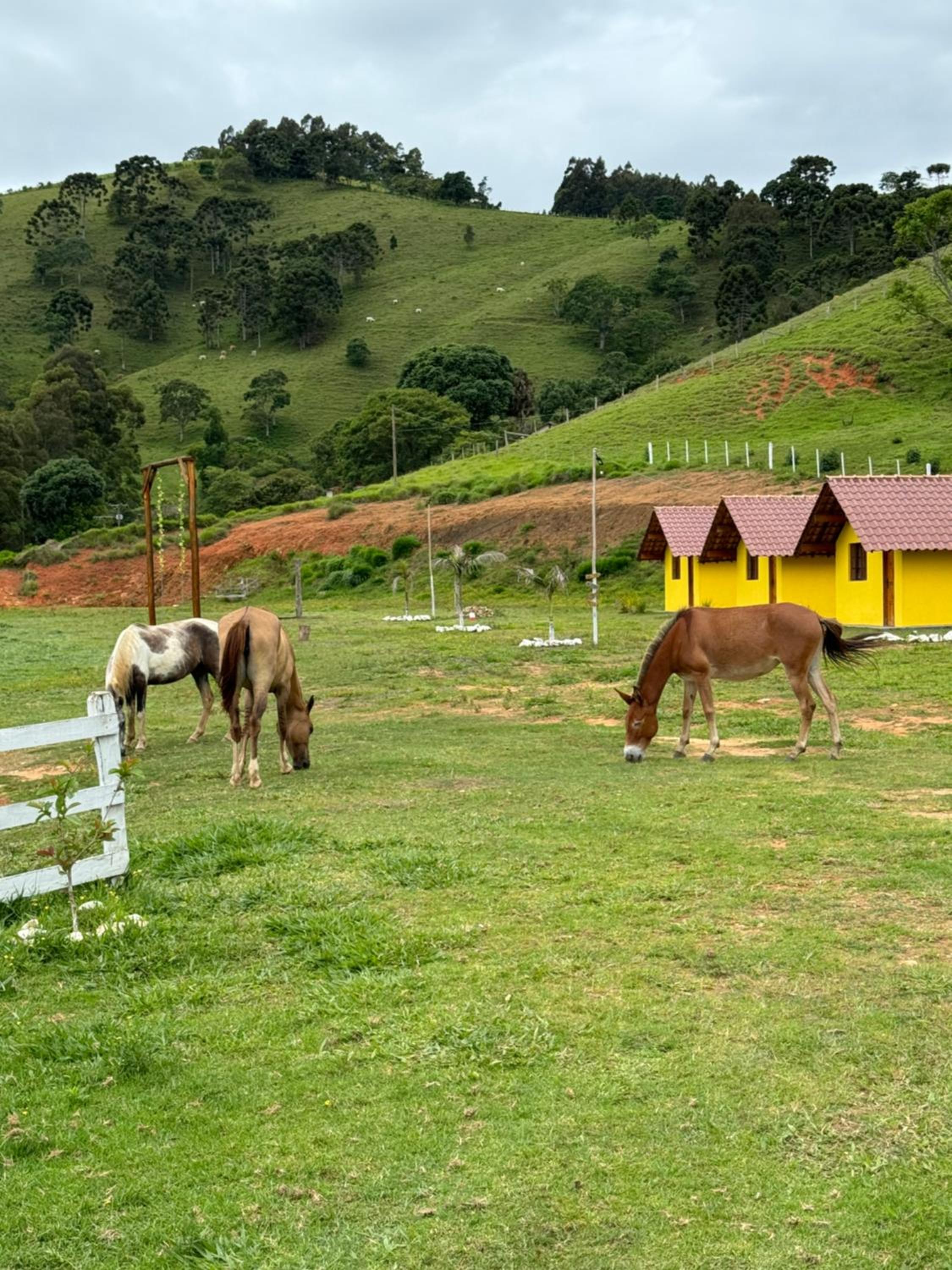 Pousada Fazenda coronel