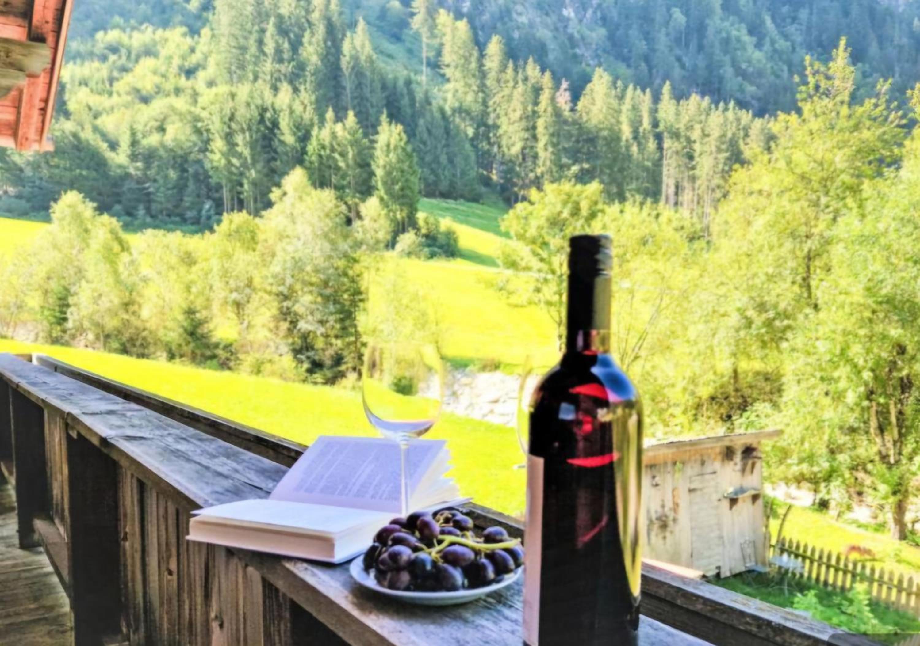 Apartment Wandegg im Bergsteigerdorf Ginzling Mayrhofen
