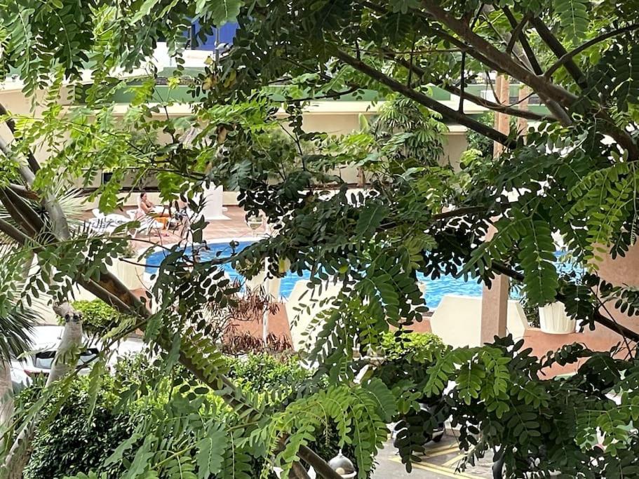 Paraiso del Sol