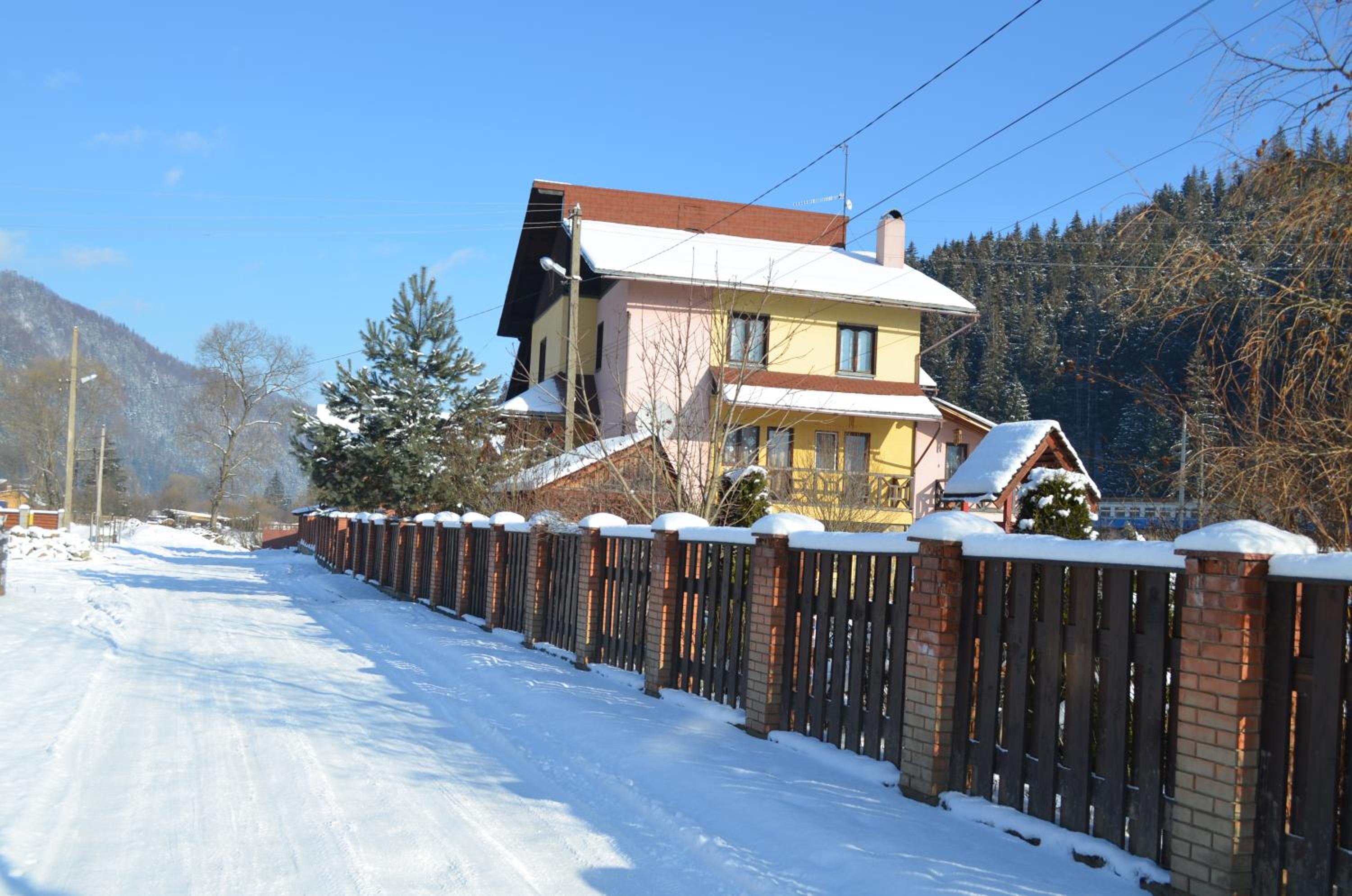 Photo 11