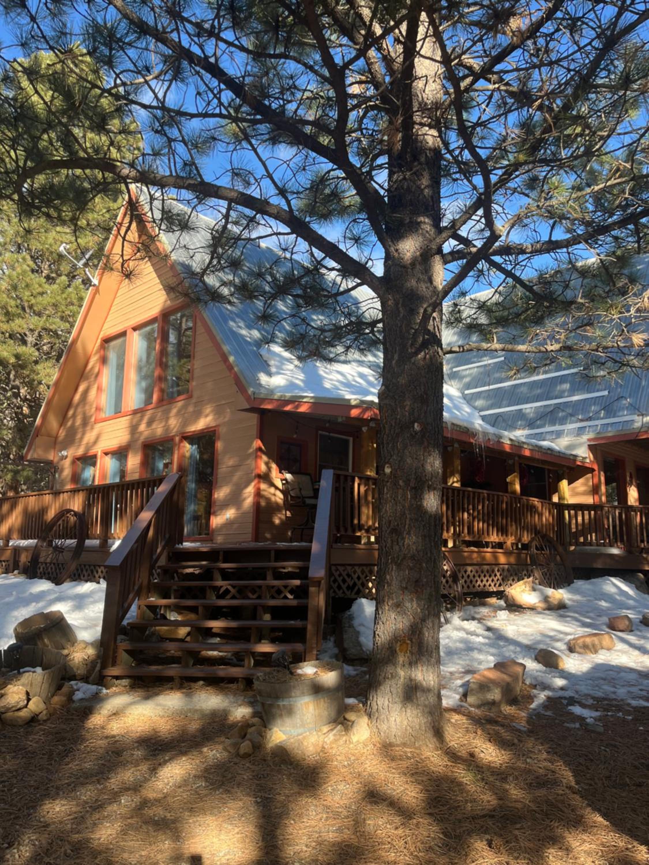 Angel Fire Cabin view 3