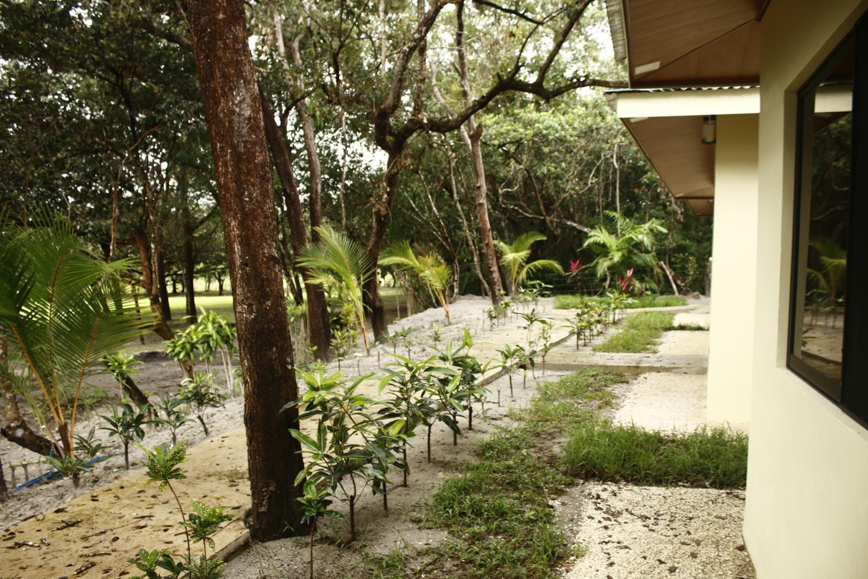 Cañon de la Vieja Lodge