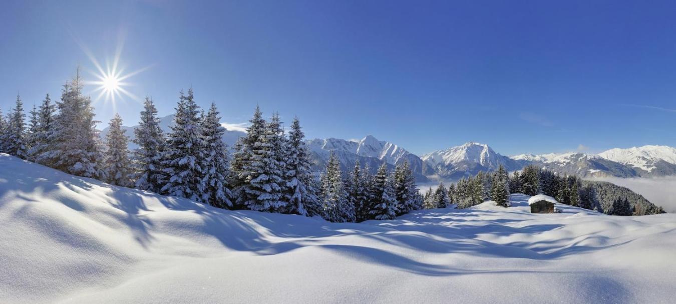 Brixnerhof im Zillertal