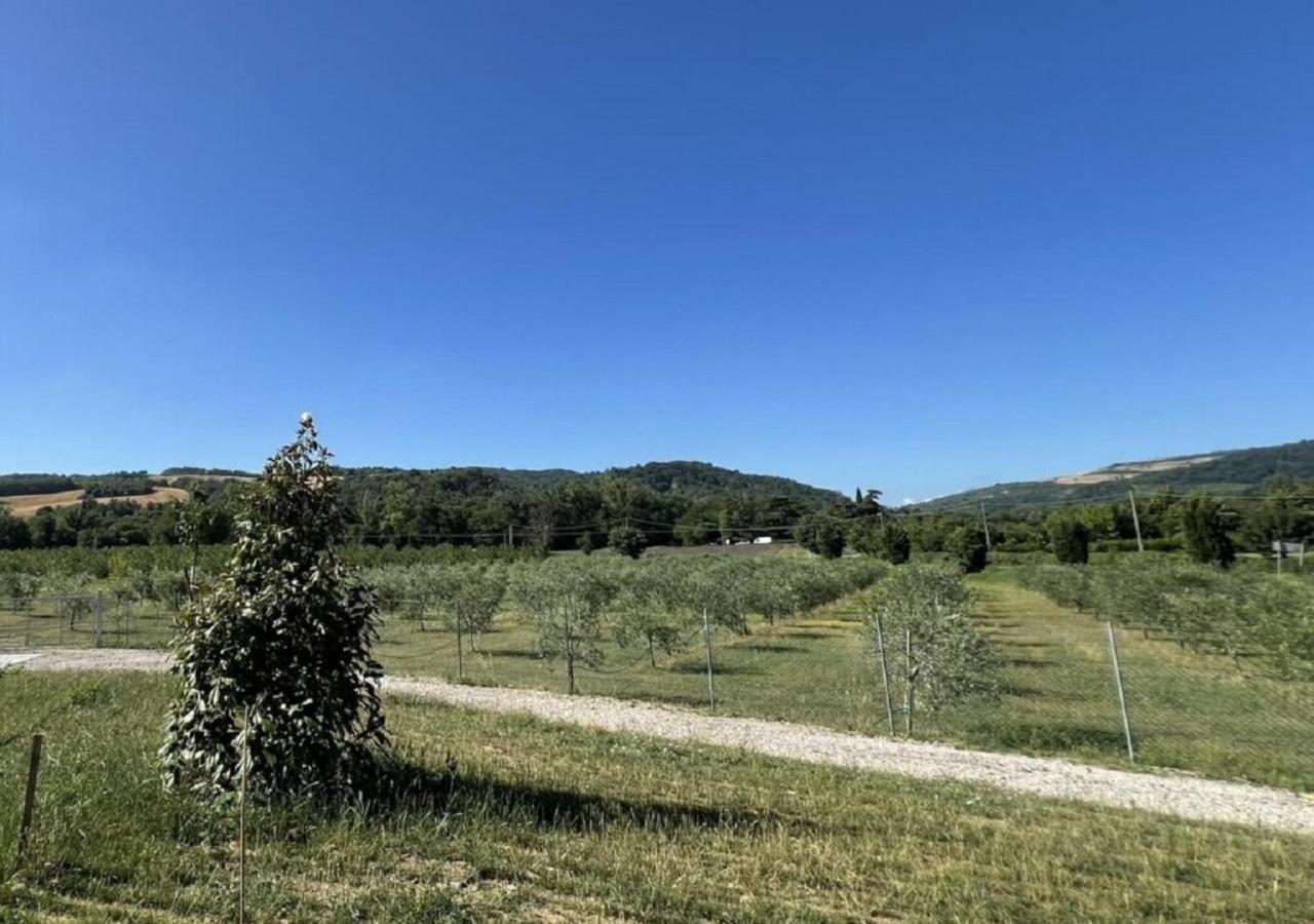 B&B Agriturismo Lombardi Bologna - San Lazzaro