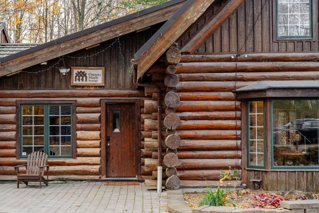 Forest Hideaway