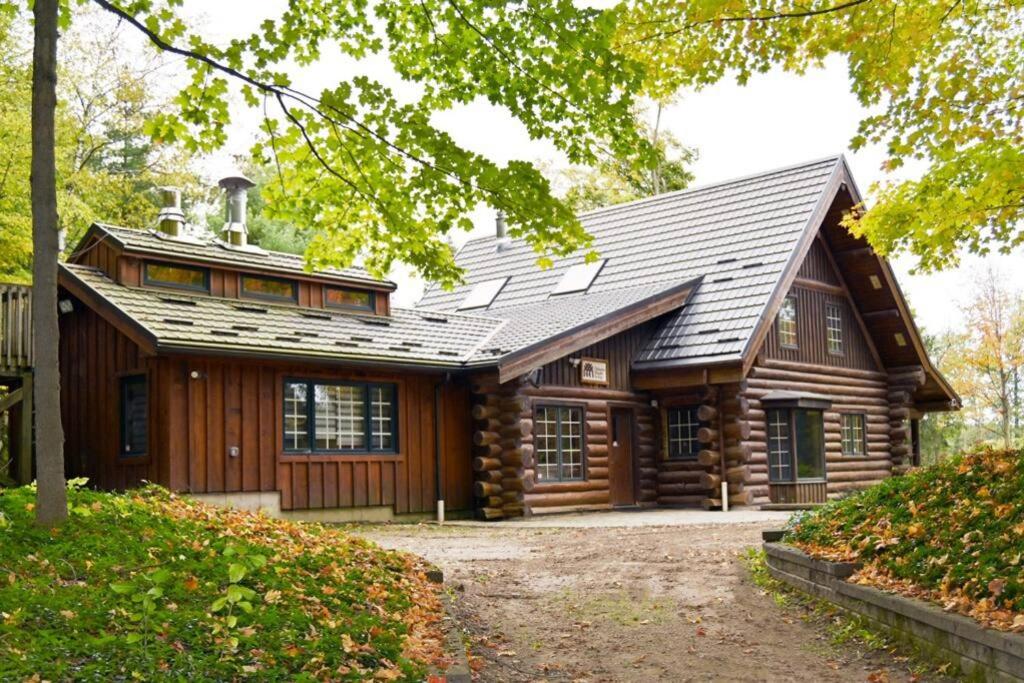 Forest Hideaway