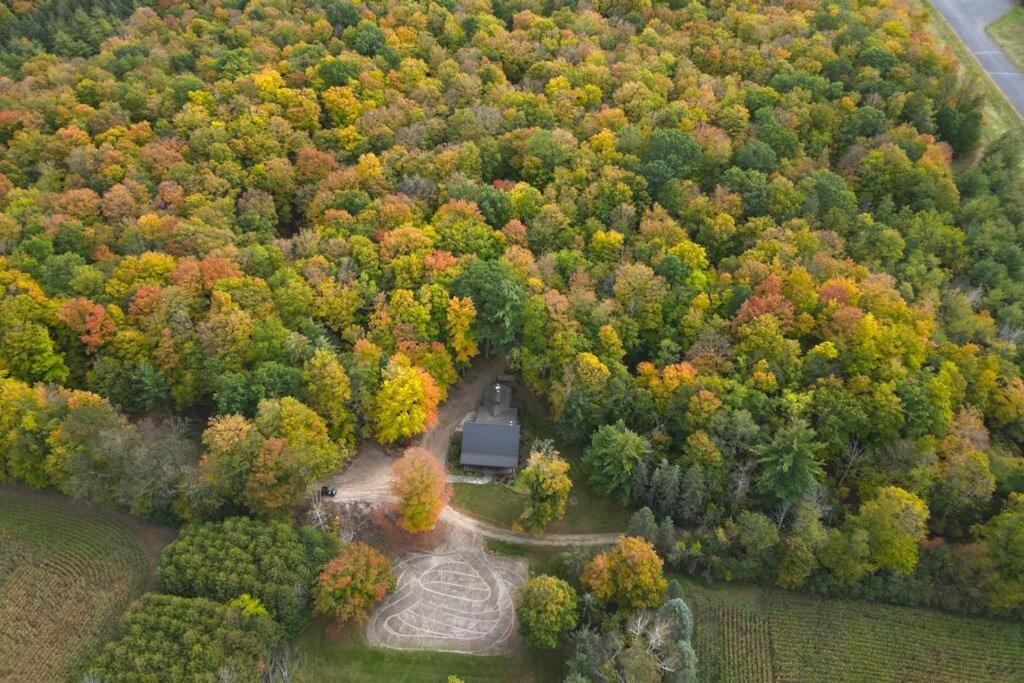 Forest Hideaway