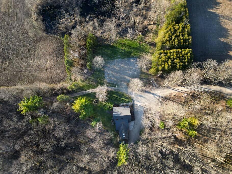 Forest Hideaway