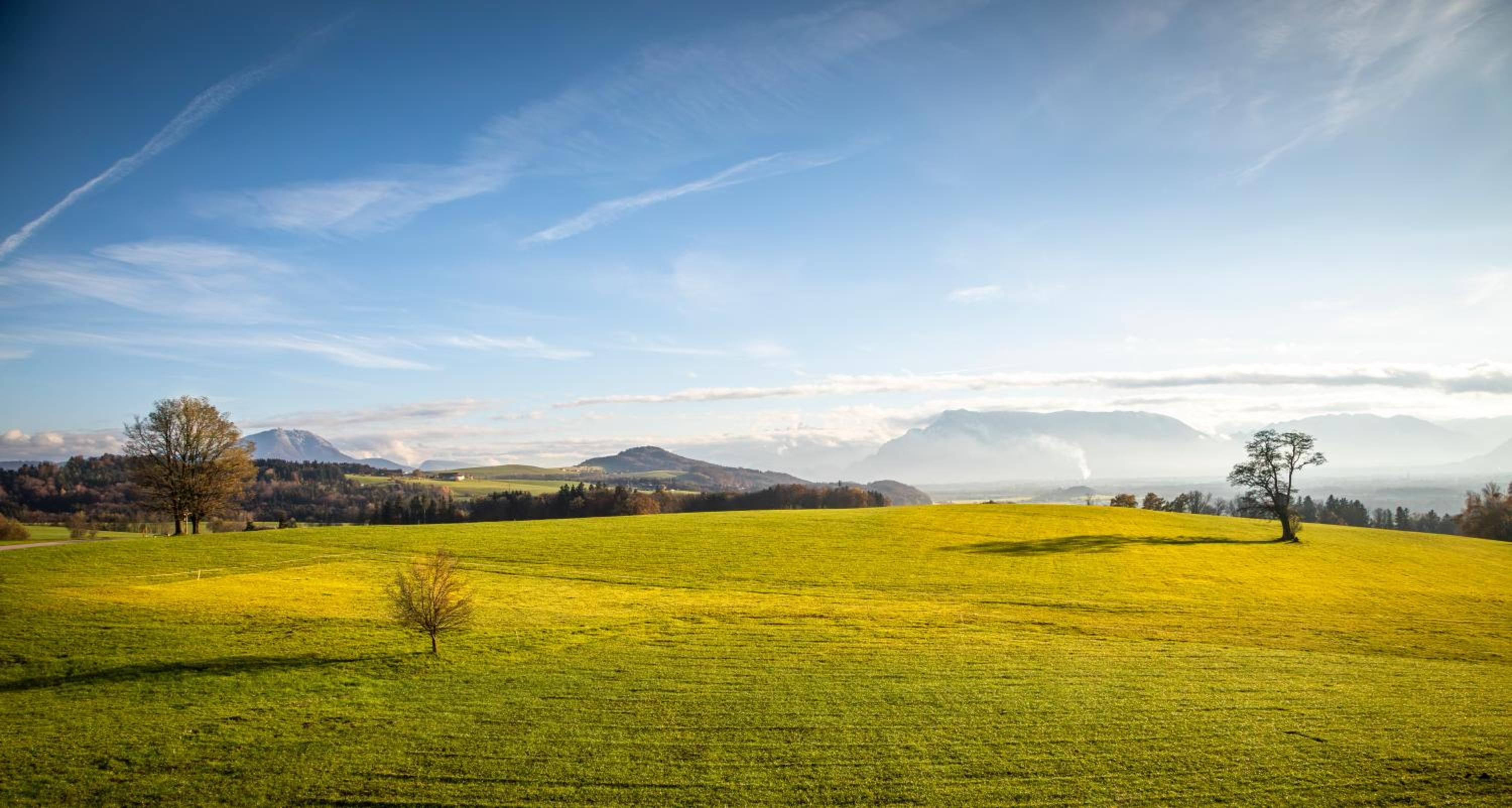 Schönbergbauer