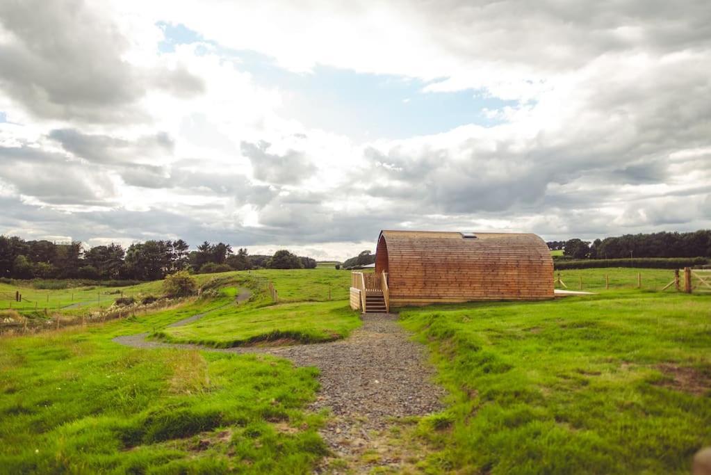 Secluded Countryside Cabins with bookable Sauna, Dark Skies & Stream Fell Farm Hideaway view 4