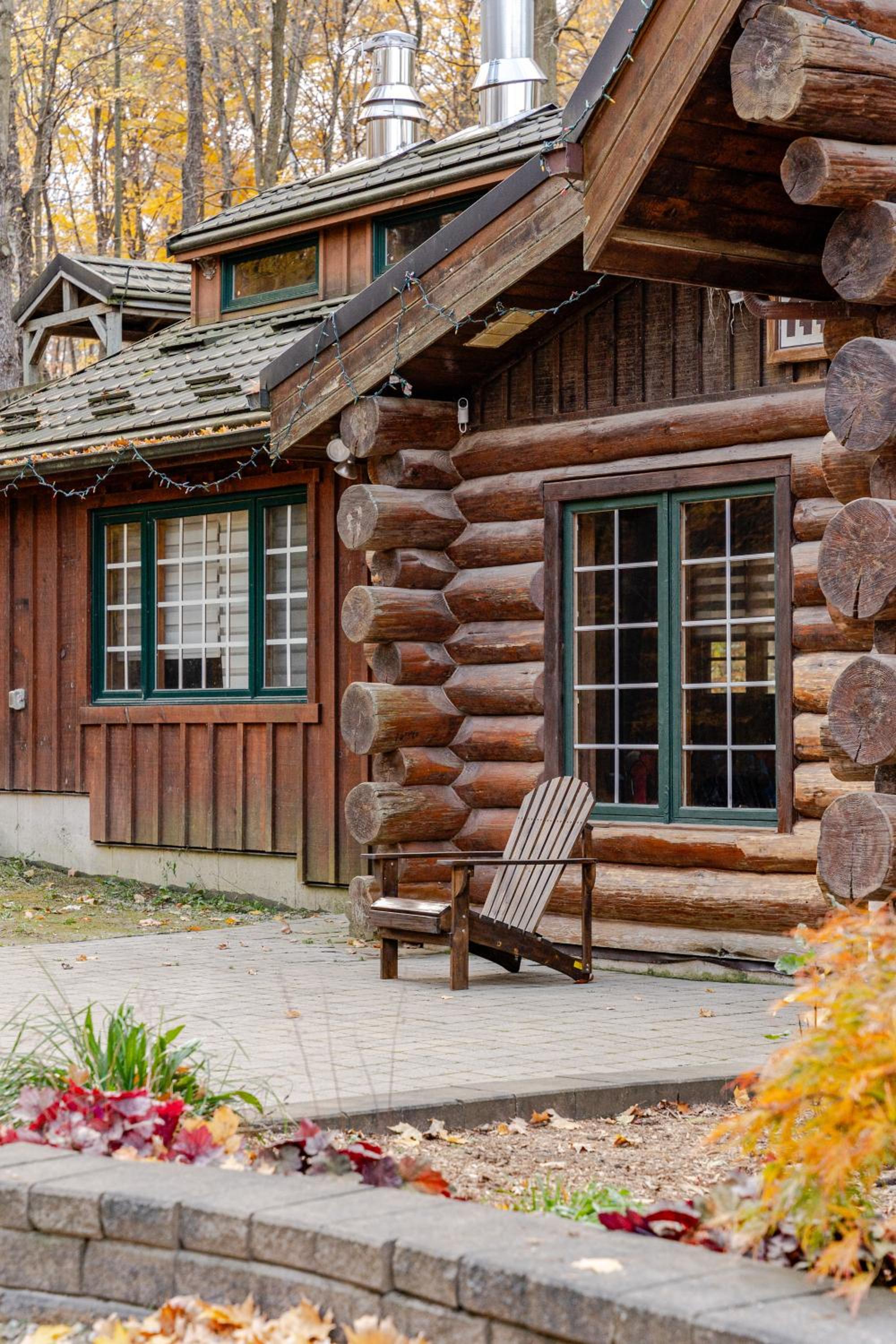 Forest Hideaway
