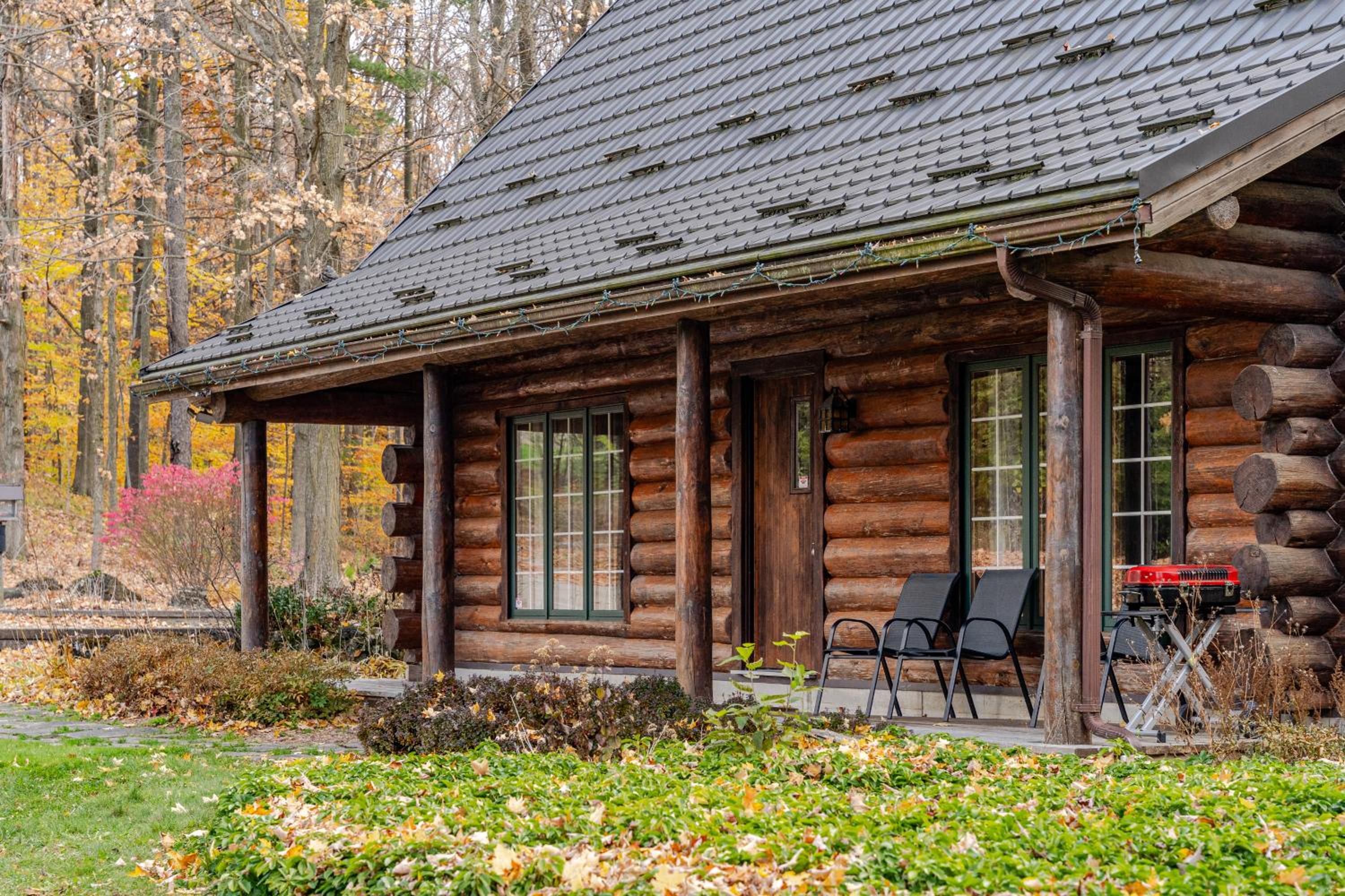 Forest Hideaway