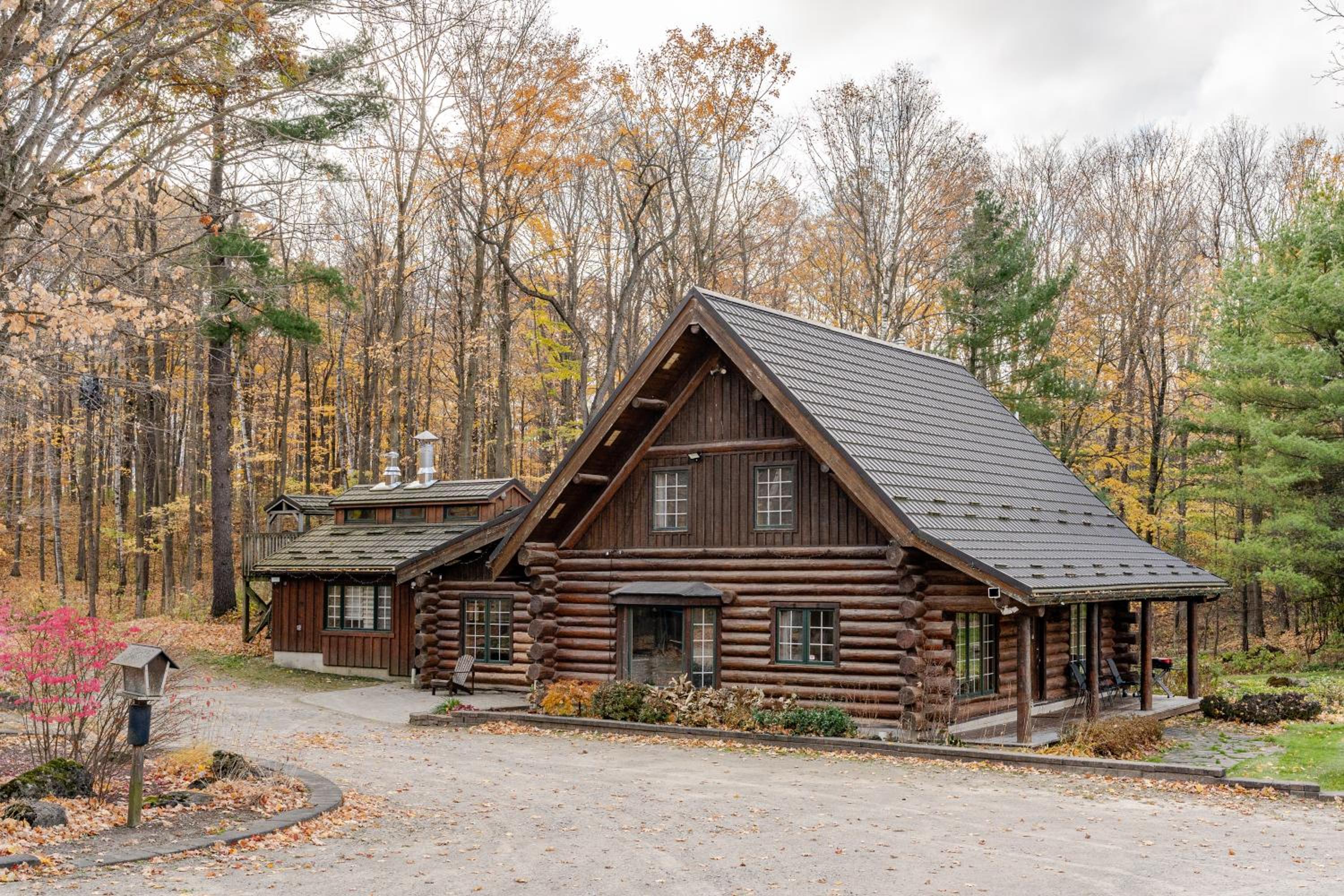 Forest Hideaway