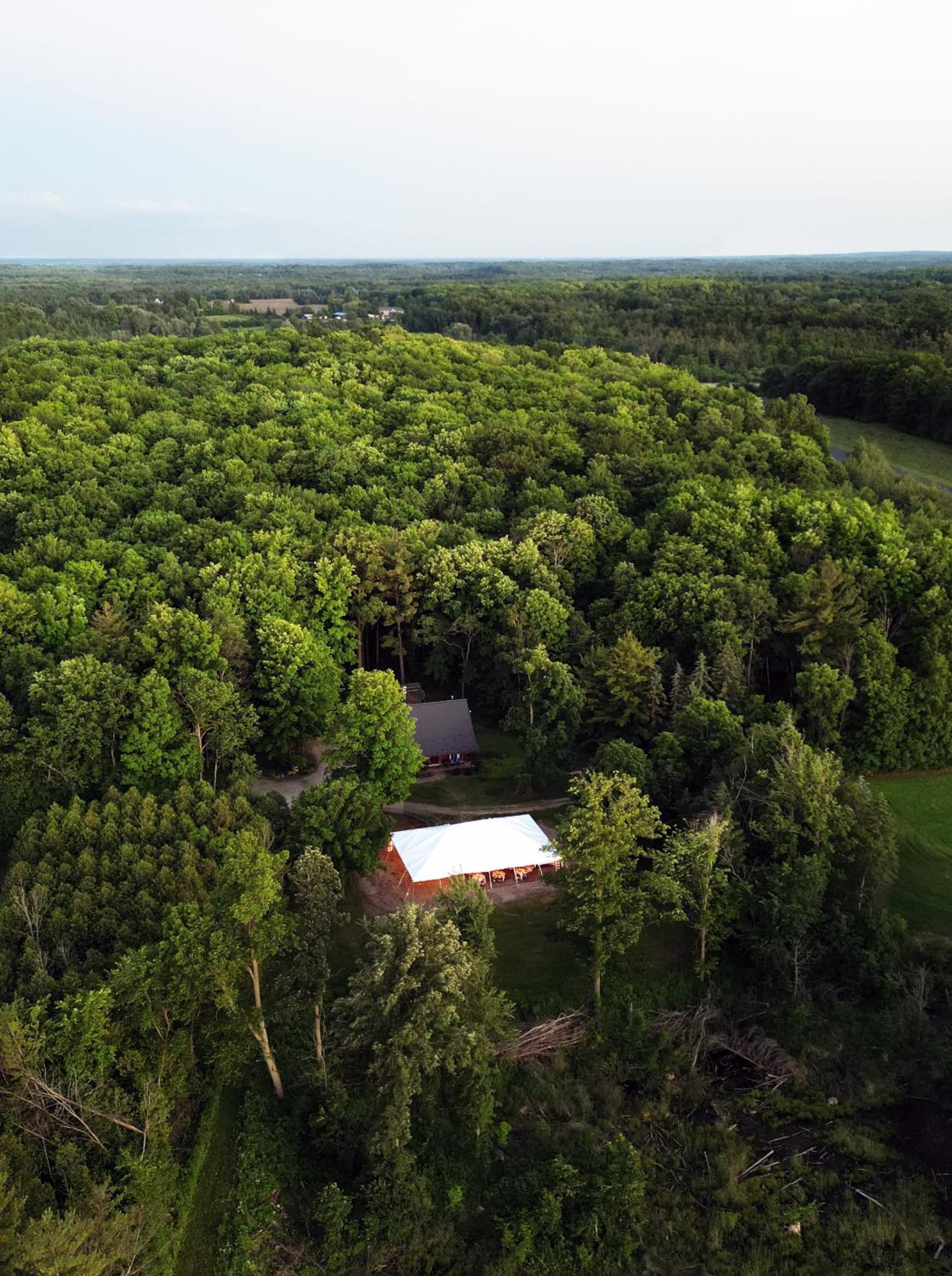 Forest Hideaway