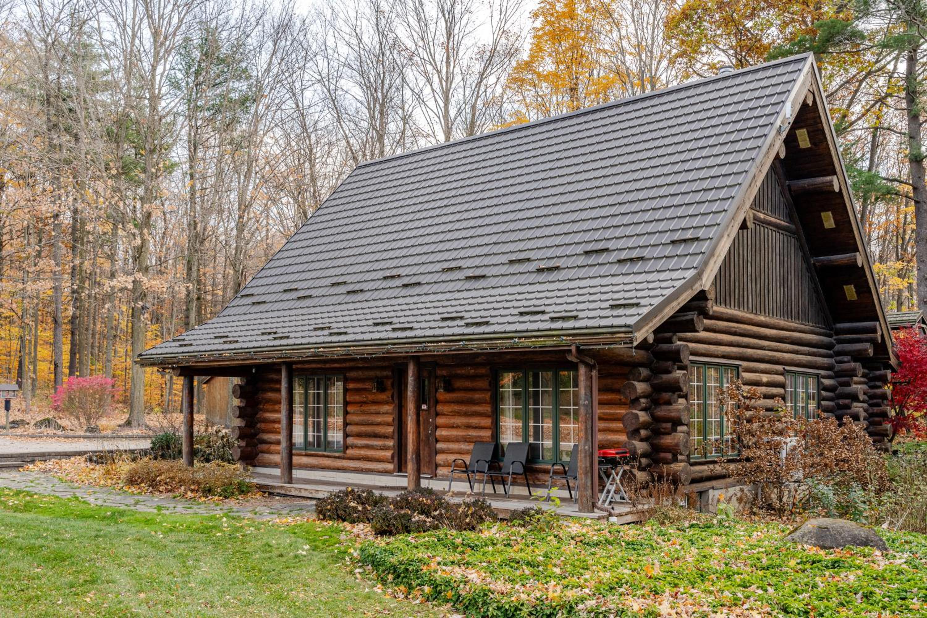 Forest Hideaway