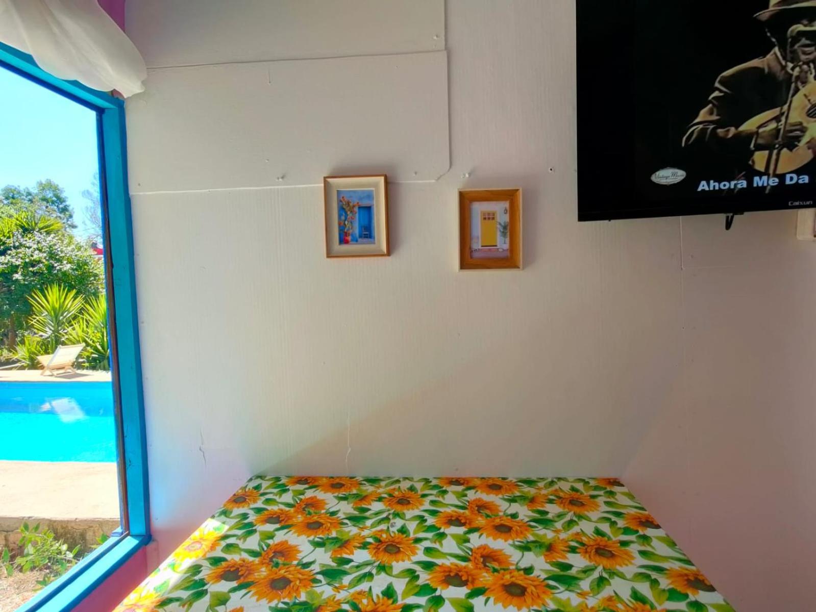ALME cabañas Olmué