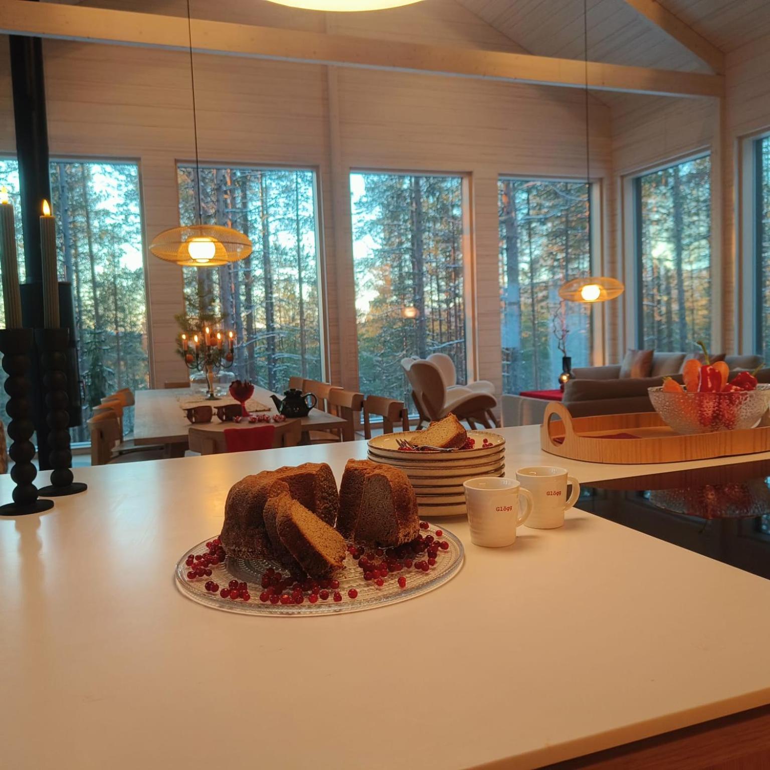 Arctic Design Villa Levi