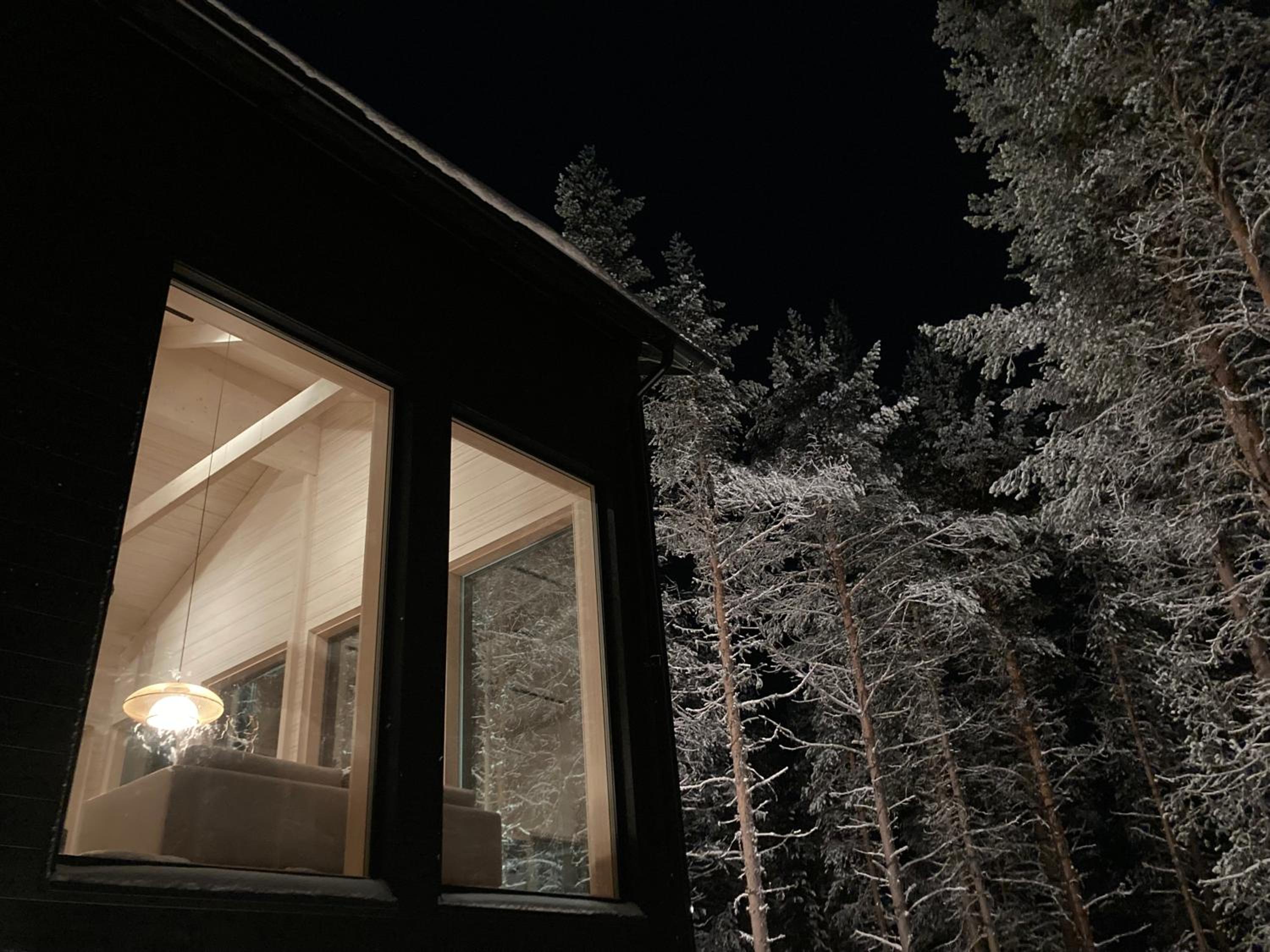 Arctic Design Villa Levi