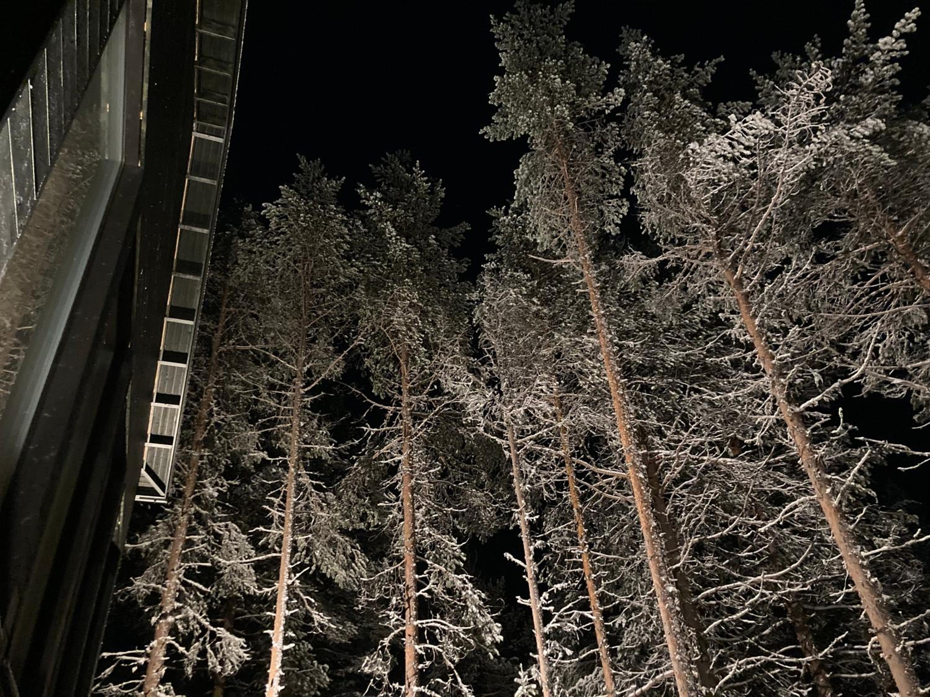 Arctic Design Villa Levi